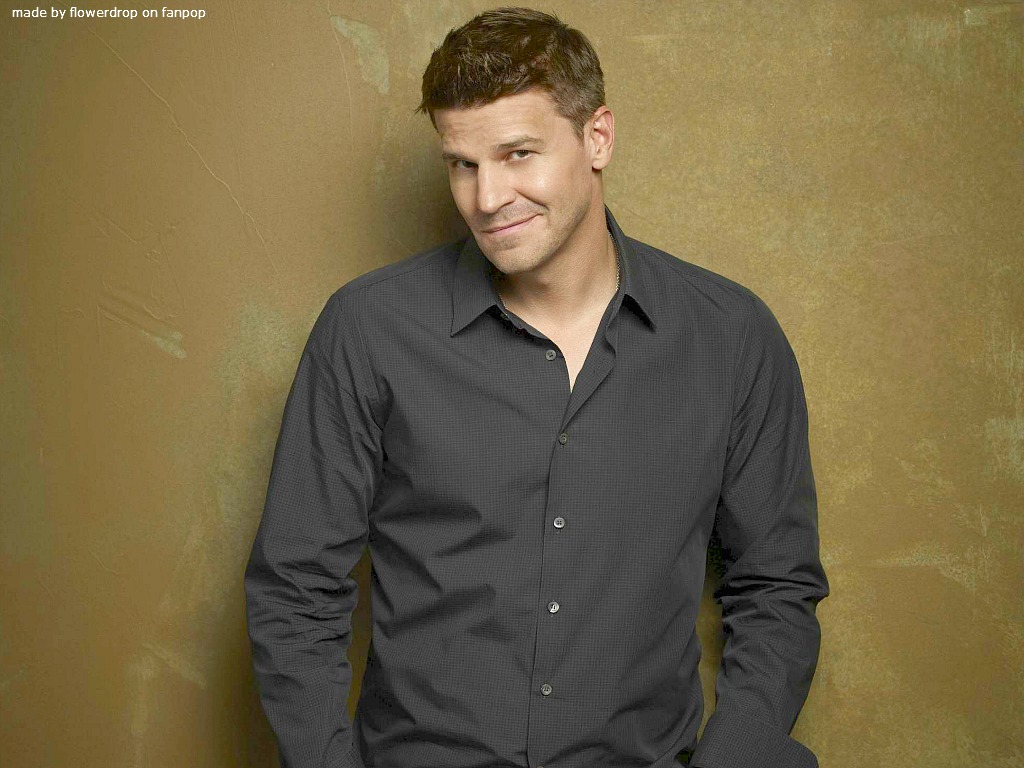 David Boreanaz Wallpaper