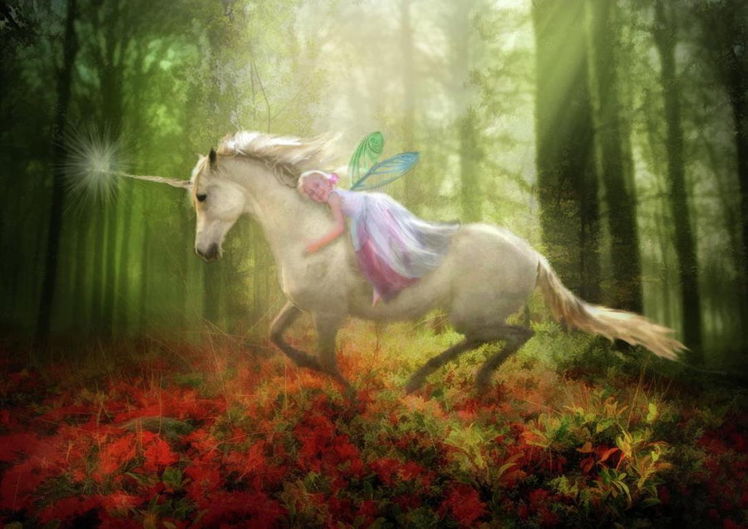 Fairy S Unicorn Wallpaper HD Desktopinhq