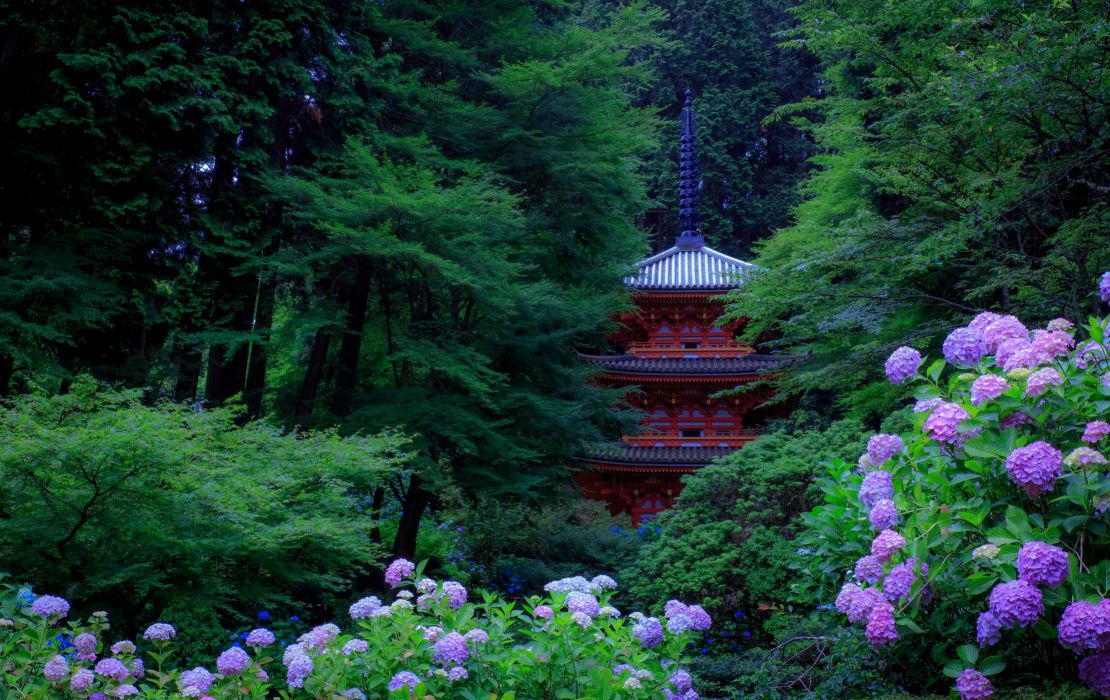 Japan Gardens Hydrangea Pagodas Trees Kyoto Nature wallpapers