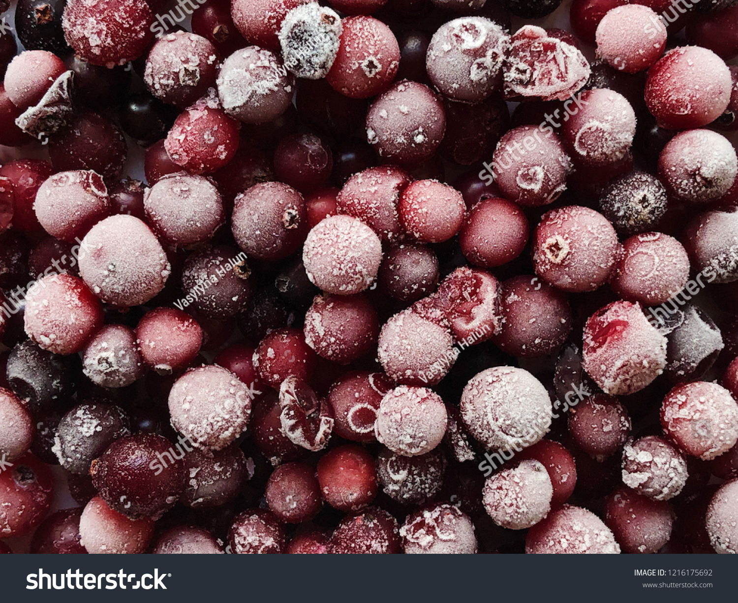 Free download Winter Frozen Berries Texture Wallpaper Cranberries Stock