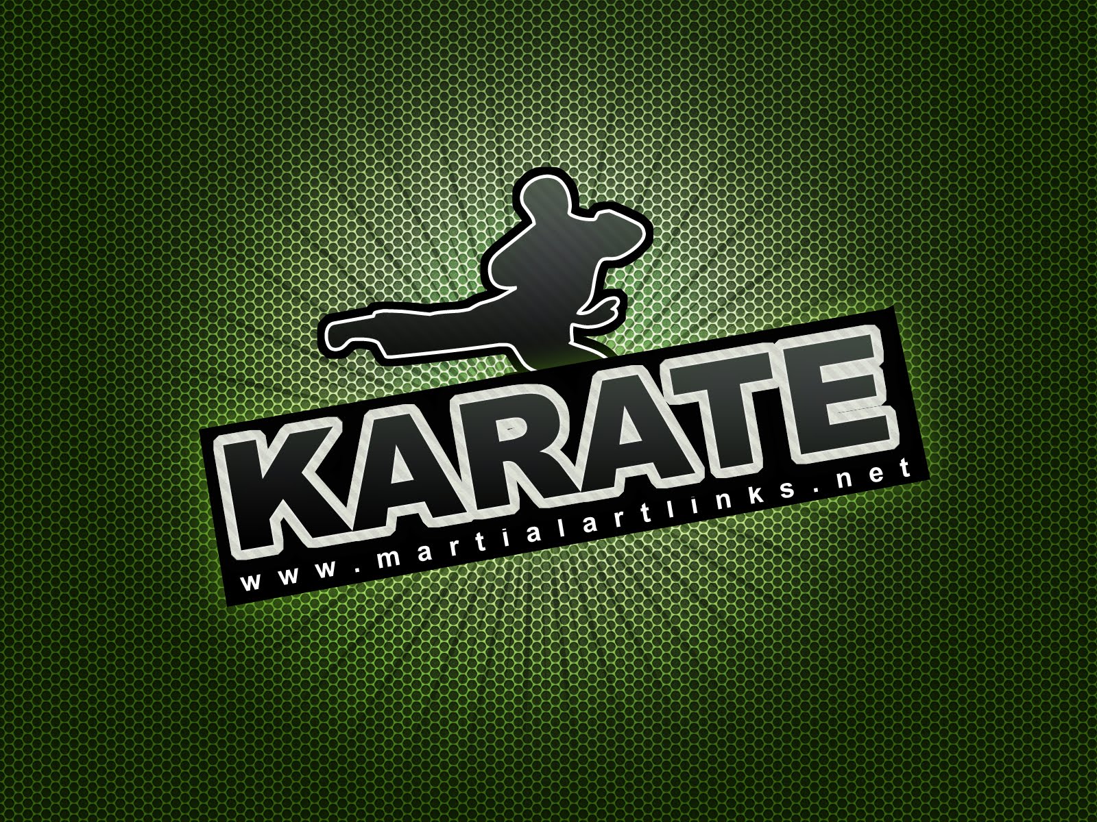 Kumpulan Koleksi Wallpaper Karate Keren Info Karate