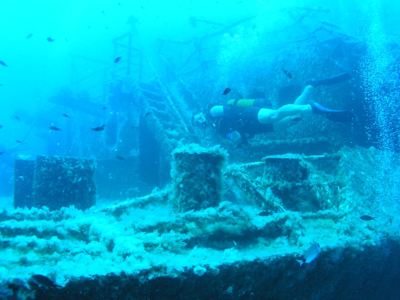 Whoohoo Got Pictures From This Summer Dives In Malta