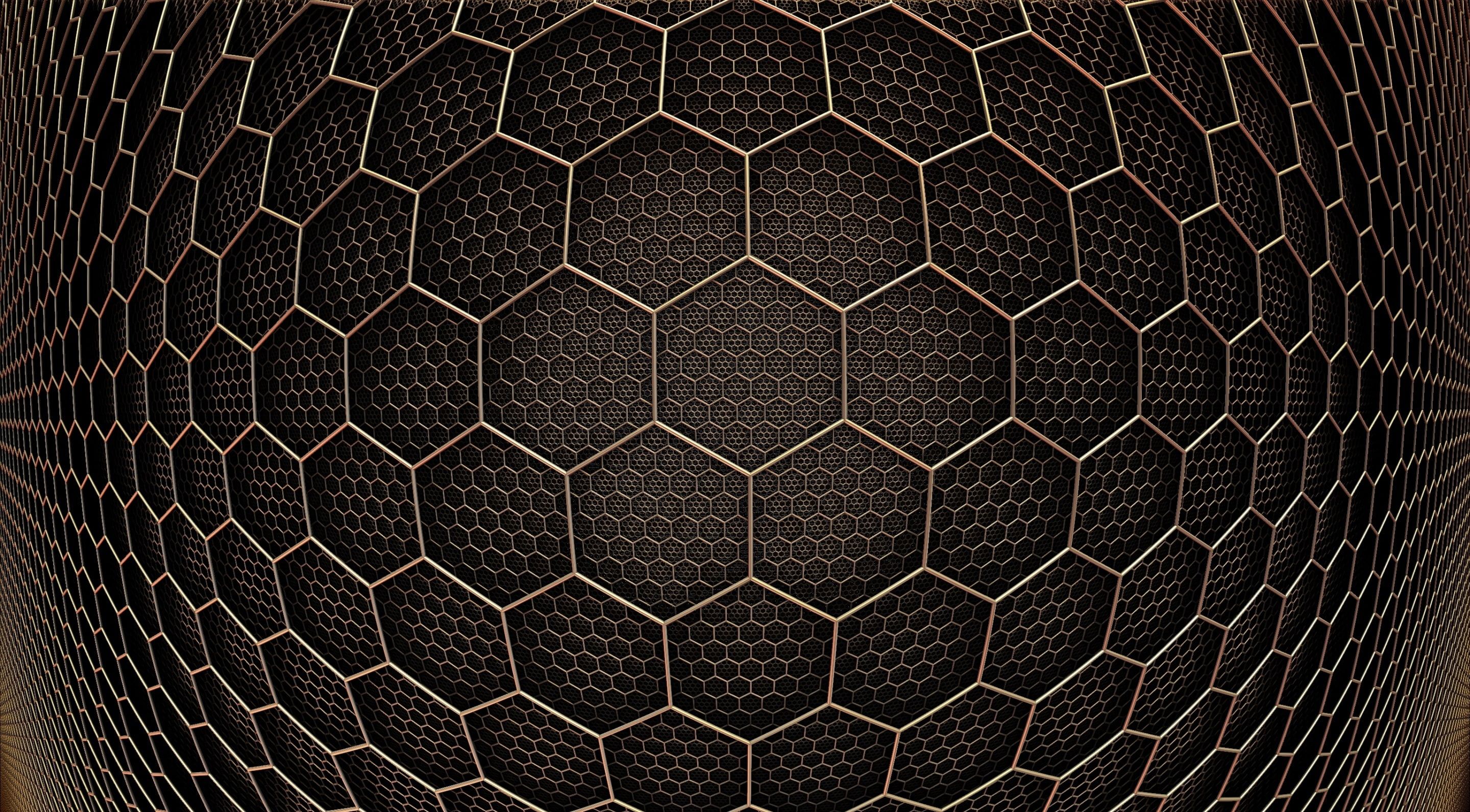 Hexagons Inside Dengan Gambar Burung Cantik