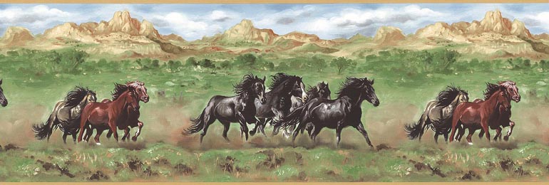 878566 Cowboy Western Horses Wallpaper Border BG3339b br CLEARANCE  QUANTITIES LIMITED