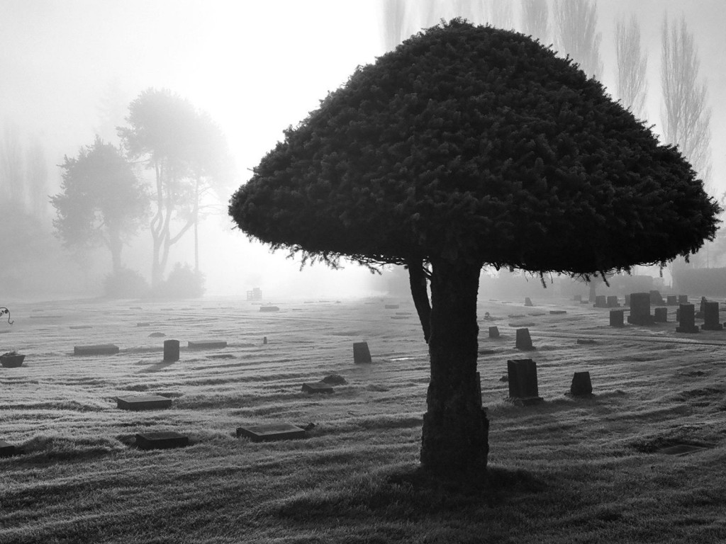 Donkere Horror Gothic Begraafplaats Graf Zwart Wit Spooky Griezelig