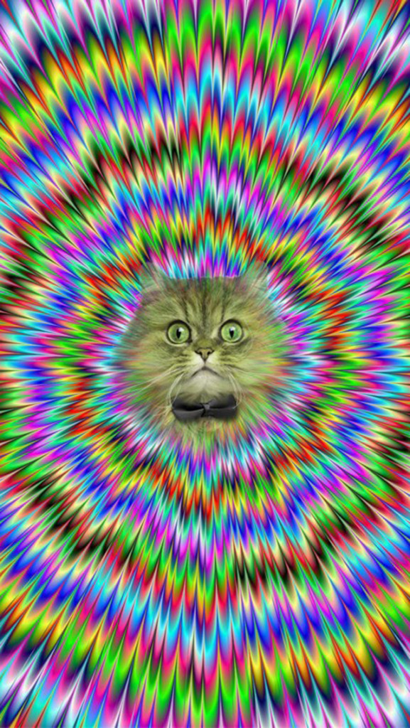 Free Download Backgrounds For Cat Wallpaper Tumblr Iphone 577x1024 For Your Desktop Mobile Tablet Explore 47 Space Cat Wallpaper Iphone Cheshire Cat Wallpaper Iphone Cute Cat Iphone Wallpaper Funny