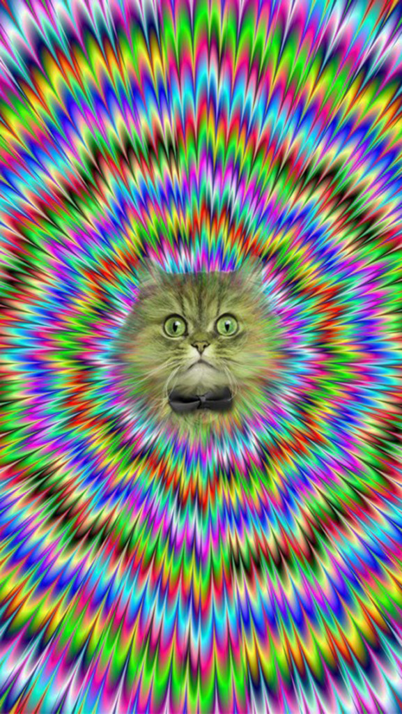 47 Space Cat Wallpaper Iphone On Wallpapersafari