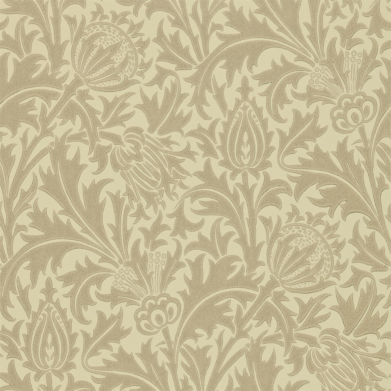 Uk Fabrics And Wallpaper Thistle Dmowth104 Morris V