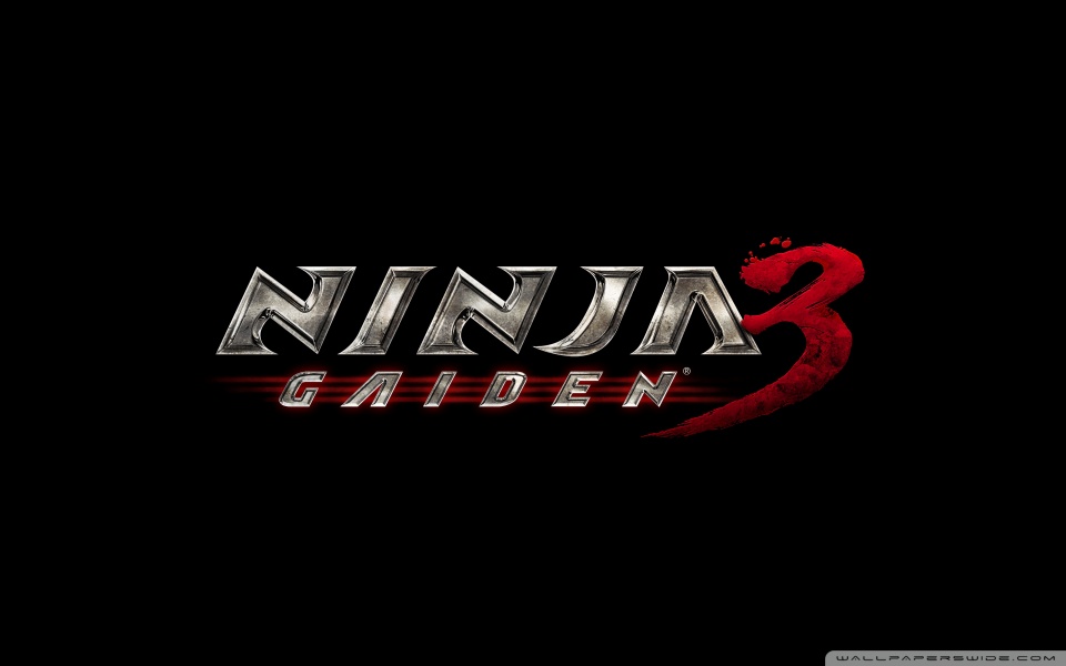 Simple Ninja Gaiden Video Game Wallpaper