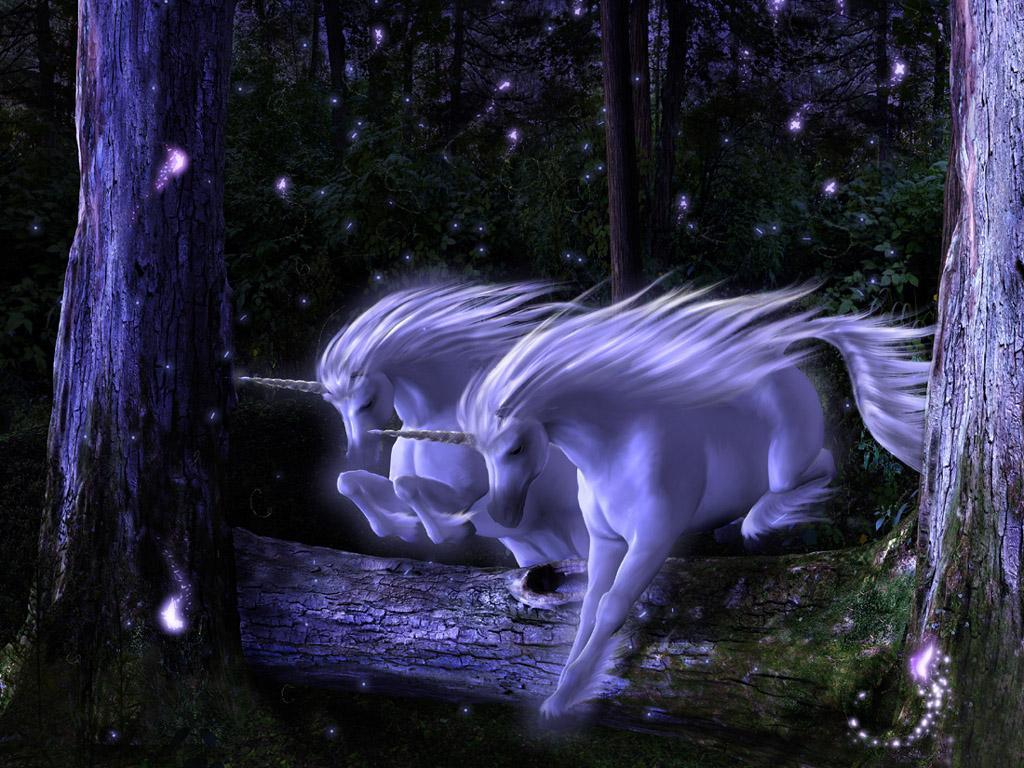 Pegasus Amp Unicorn Fantasy Animals Wallpaper