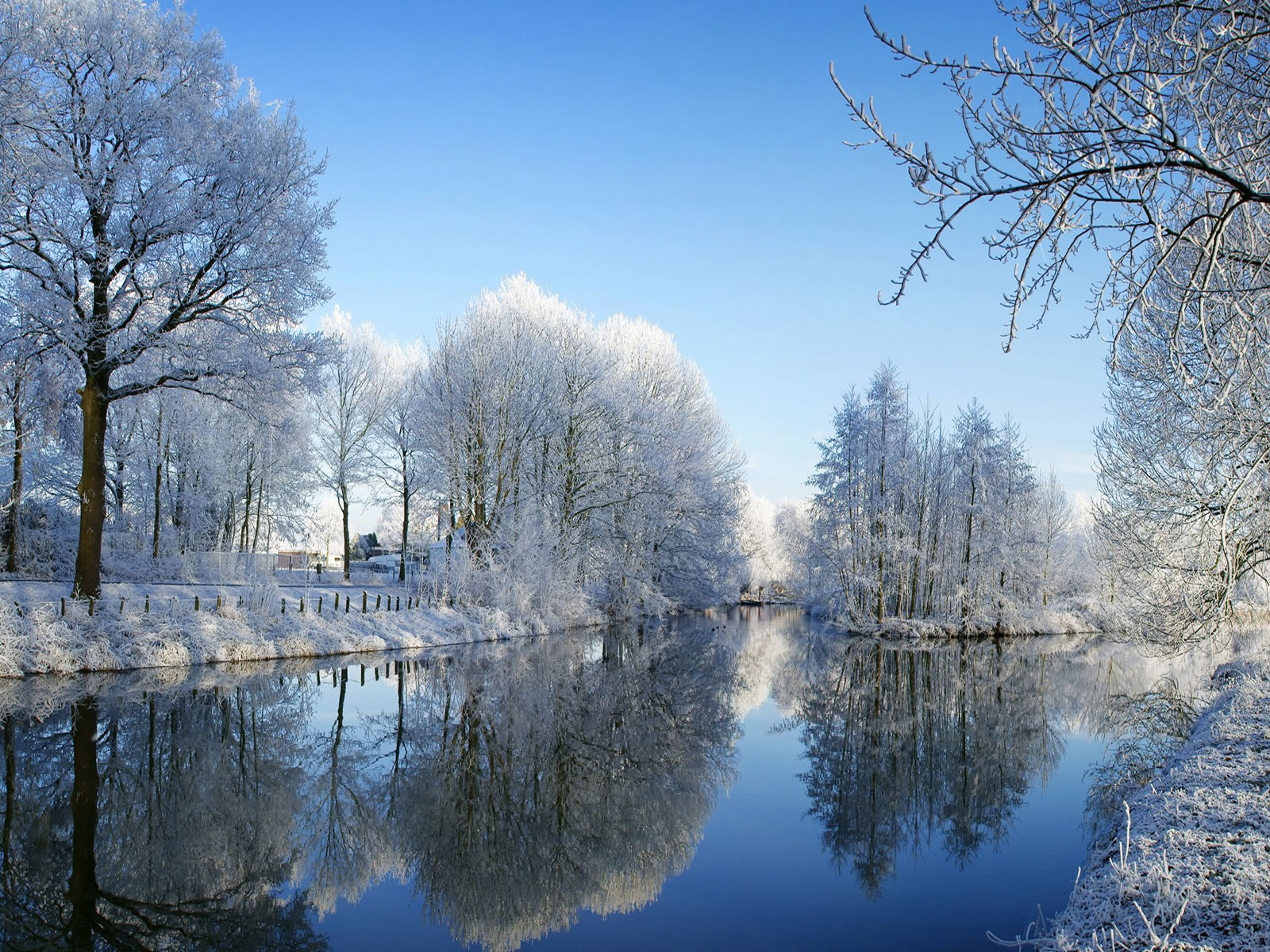 Winter Computer Wallpaper Sf