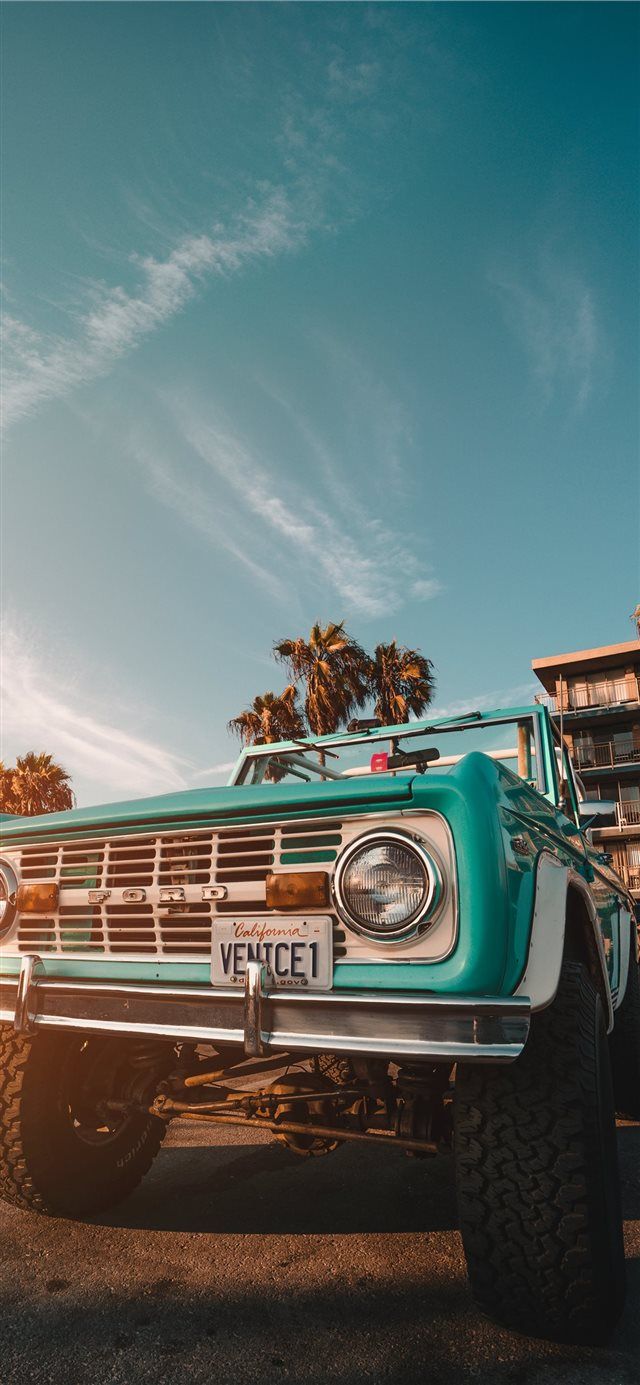 Venice the Menace iPhone X wallpaper Wallpapers in 2019