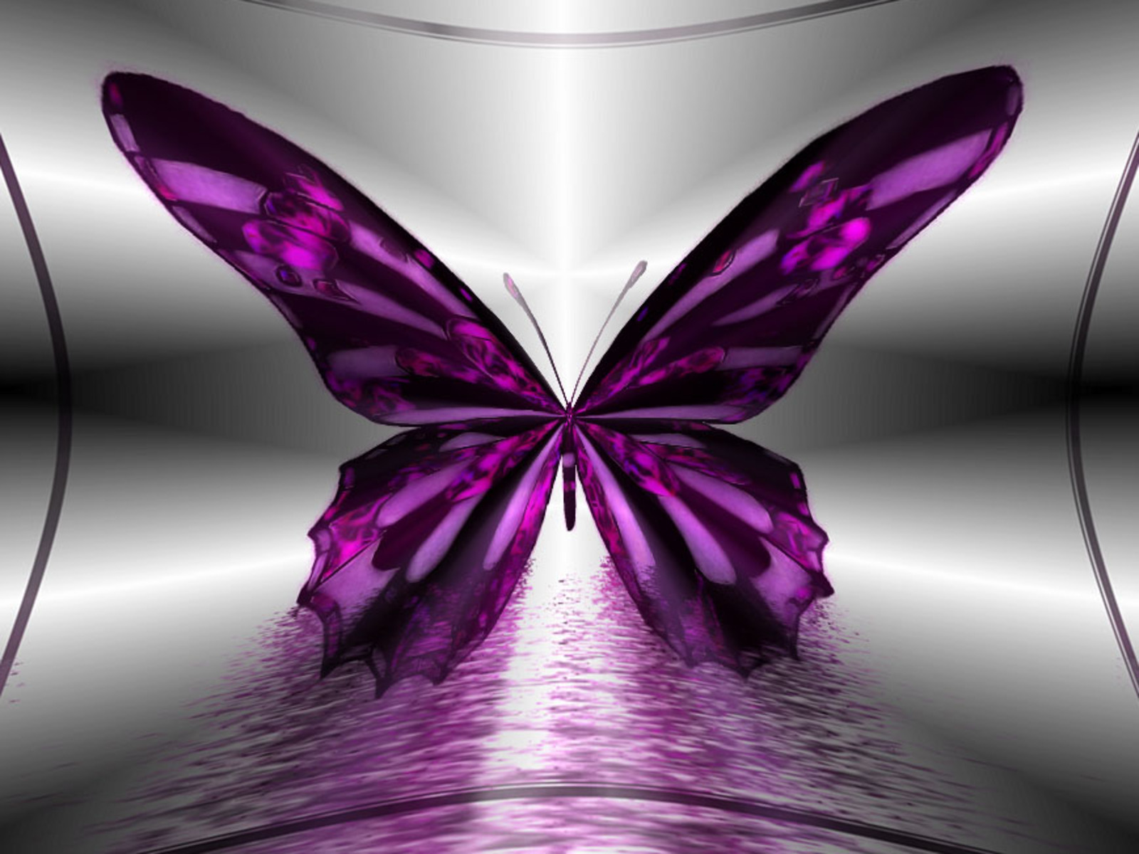 Wallpaper HD Desktop Online Butterfly