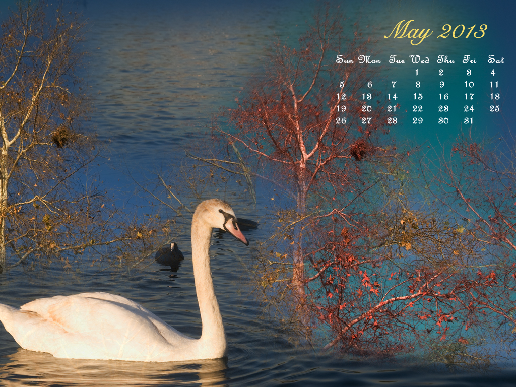 Download may calendar wallpaper for your desktop web site email or 1024x768