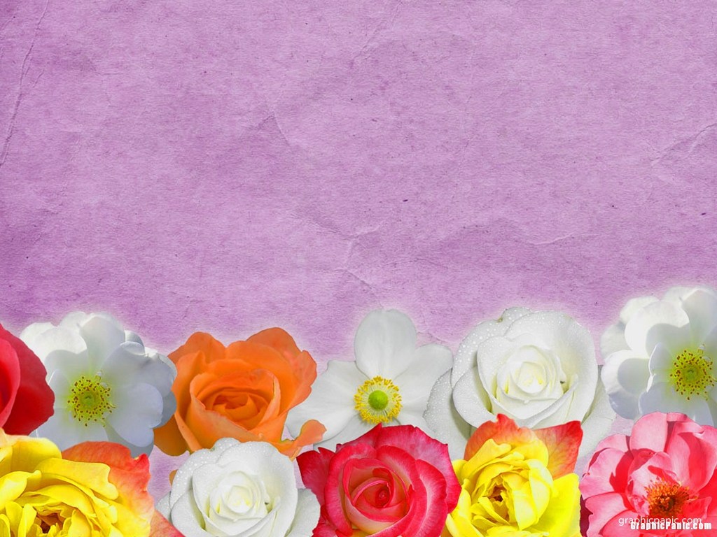 Colorful Flower Background Powerpoint Amp Templates