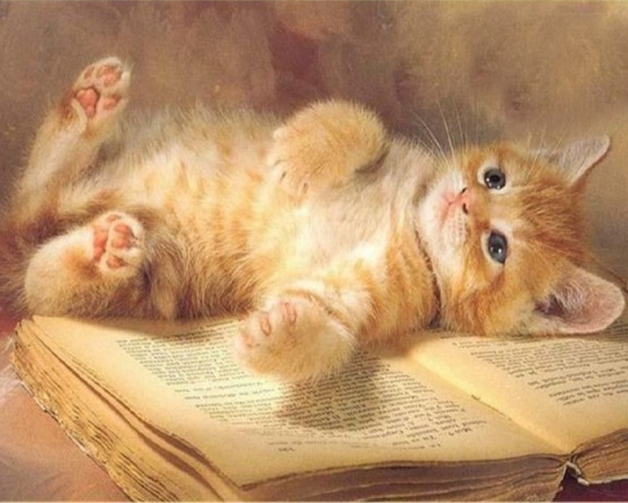 adorable kitten lying Wallpaper