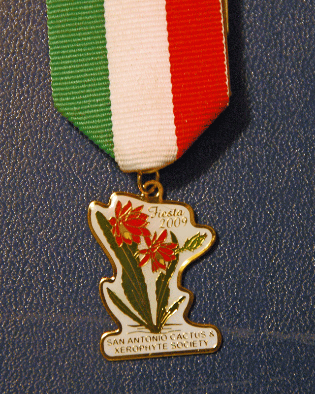 San Antonio Fiesta Medals Pc Android iPhone And iPad Wallpaper