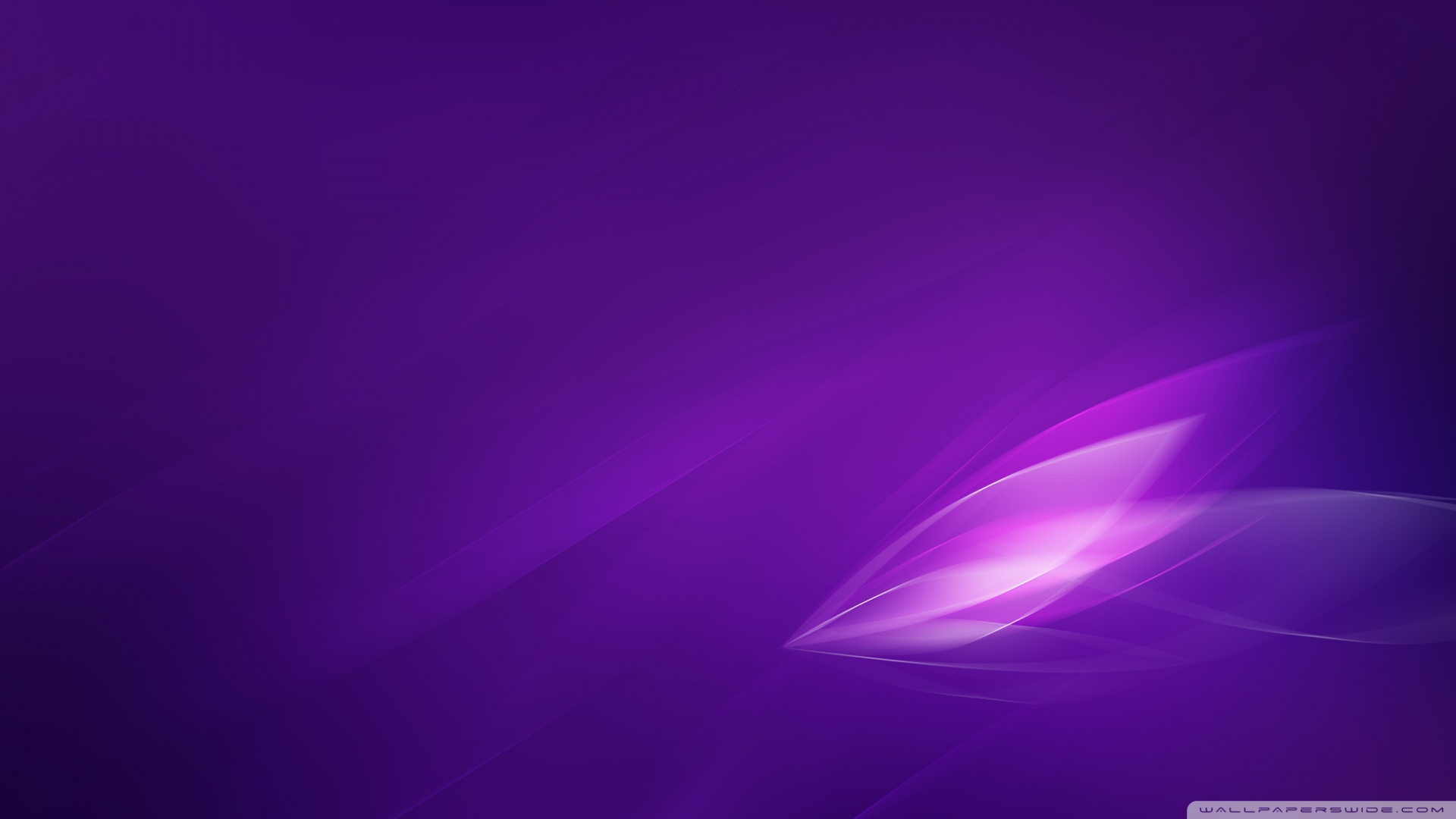 Purple Wallpaper Colors