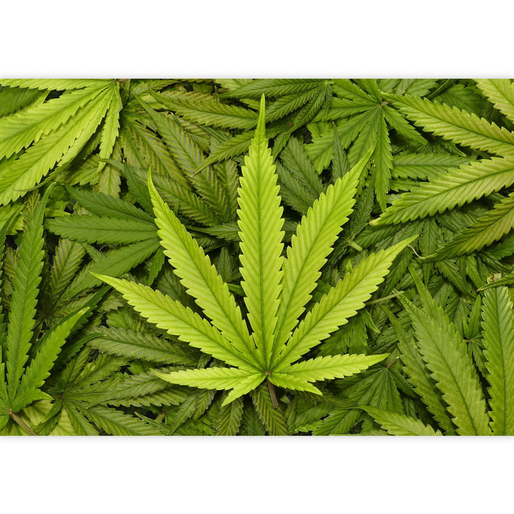 Wall26 Big Marijuana Leaf Close Up With Texture Background Of