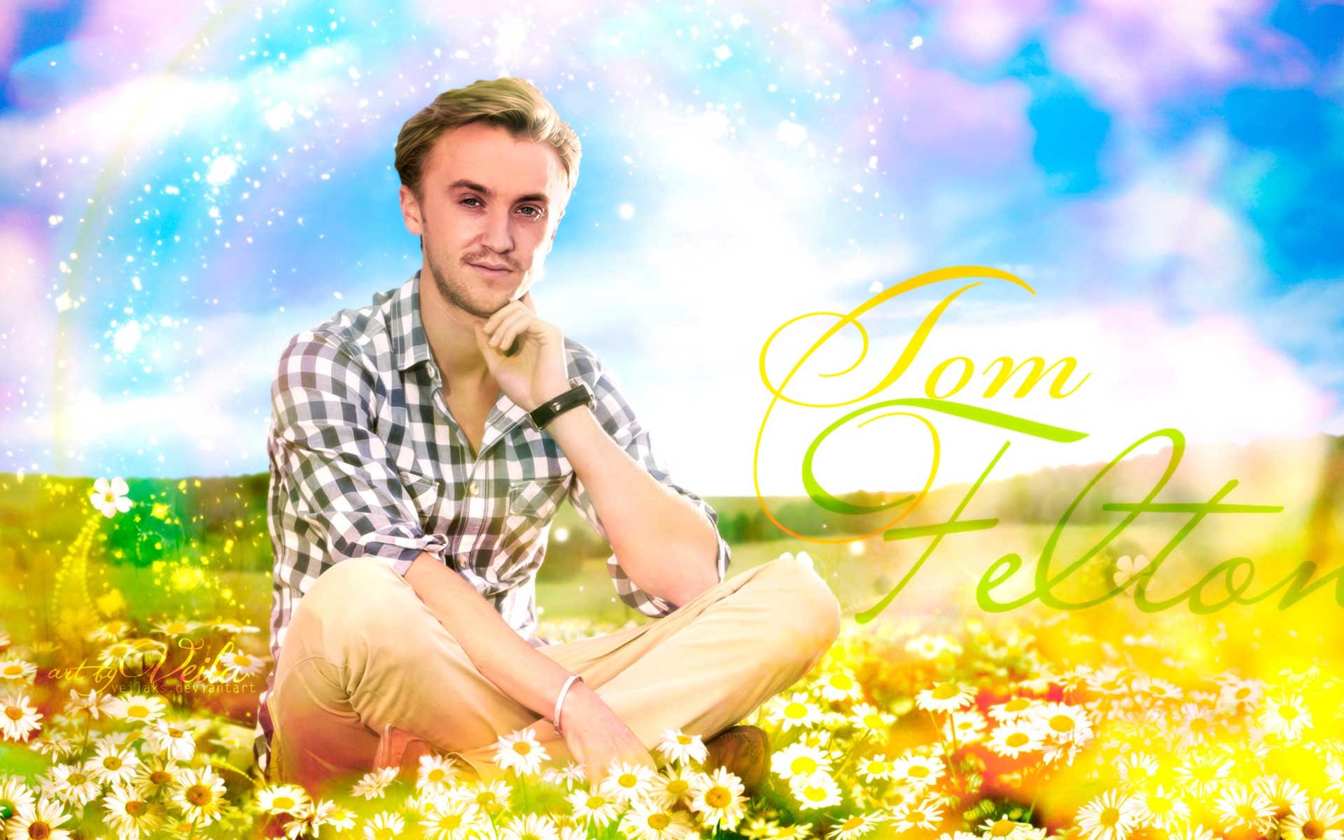 Tom Felton Wallpaper