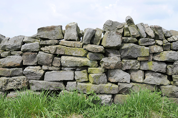 Dry Stone Wall Mural Nature Wallpaper Ink