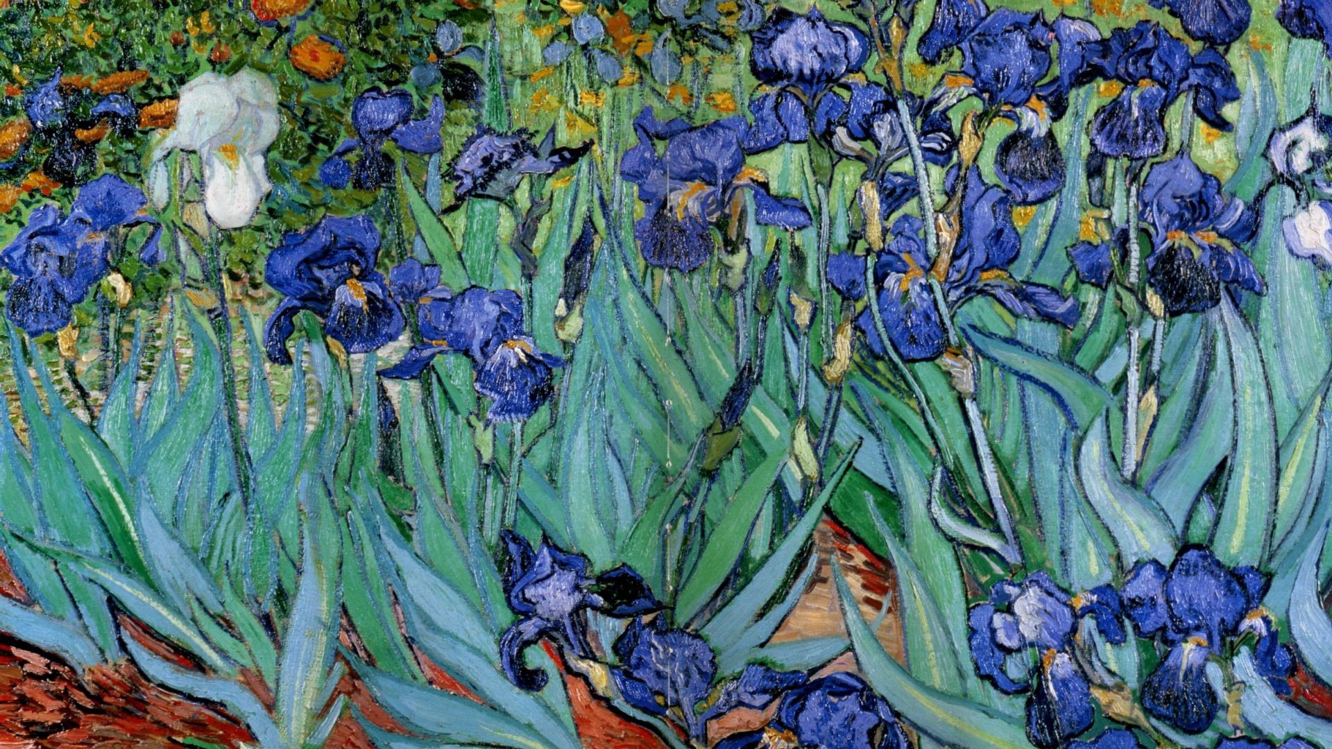 Irises Van Gogh Wallpaper Image