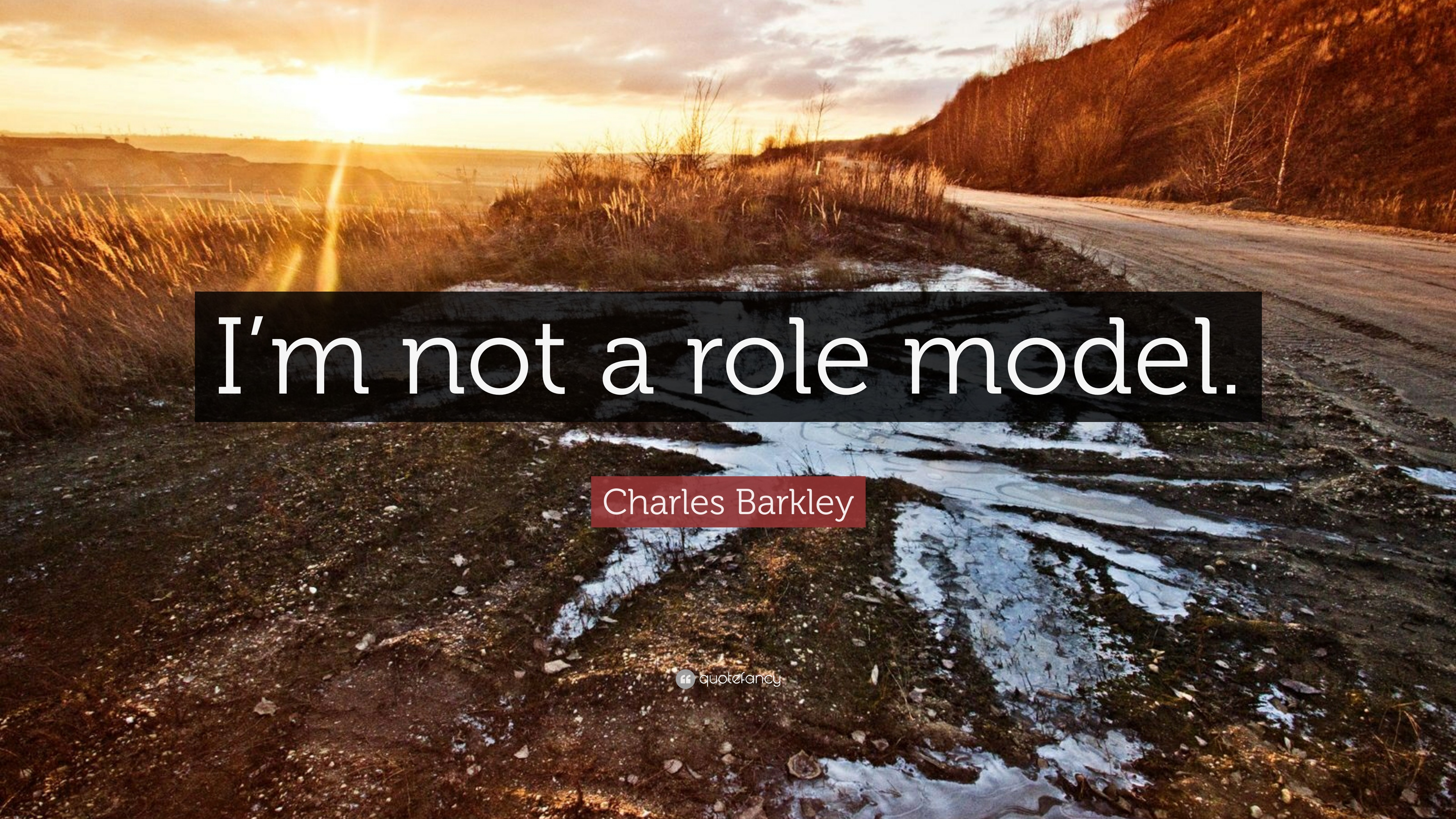 Charles Barkley Role Model Quote I M Not A