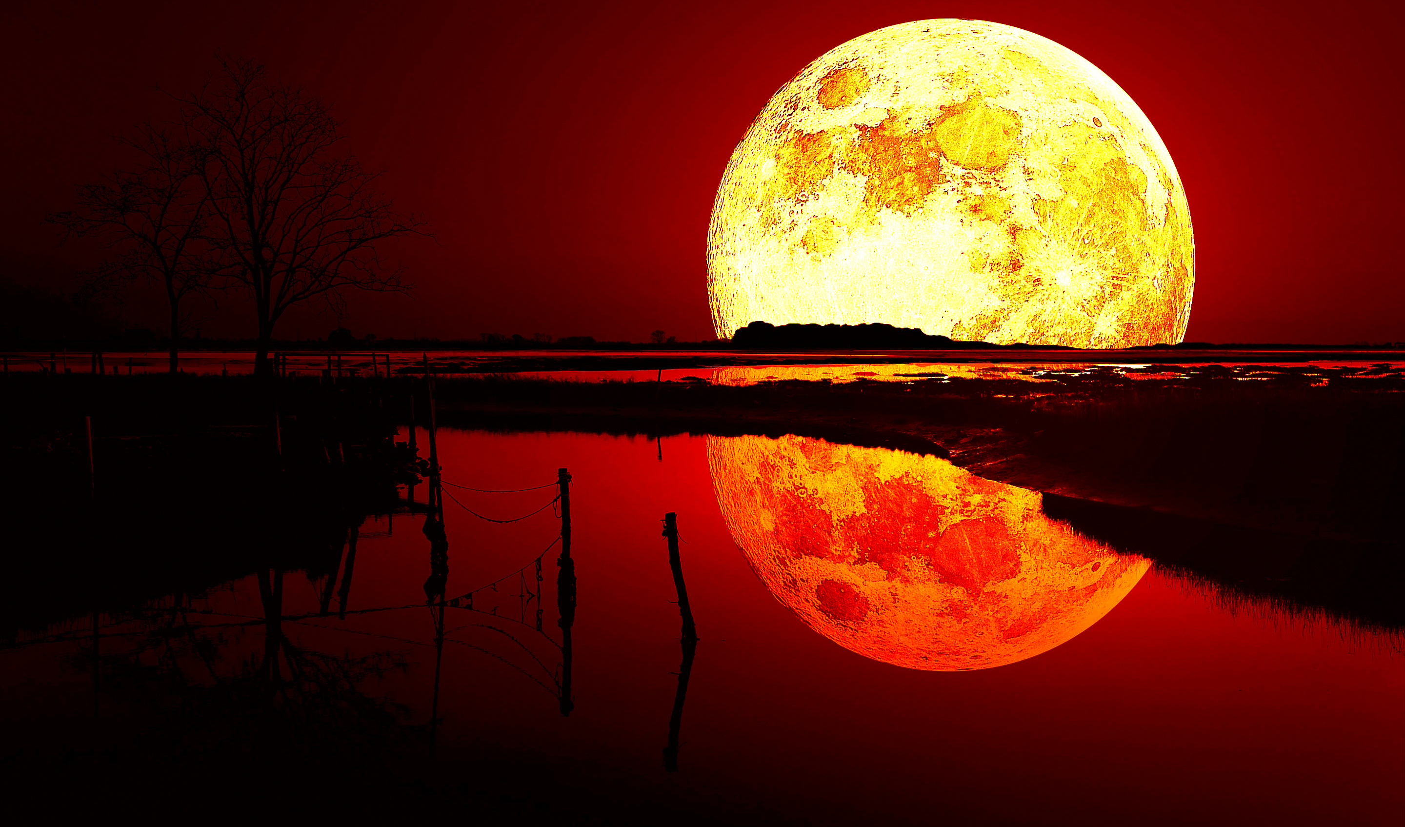 10 Blood Moon HD Wallpapers and Backgrounds