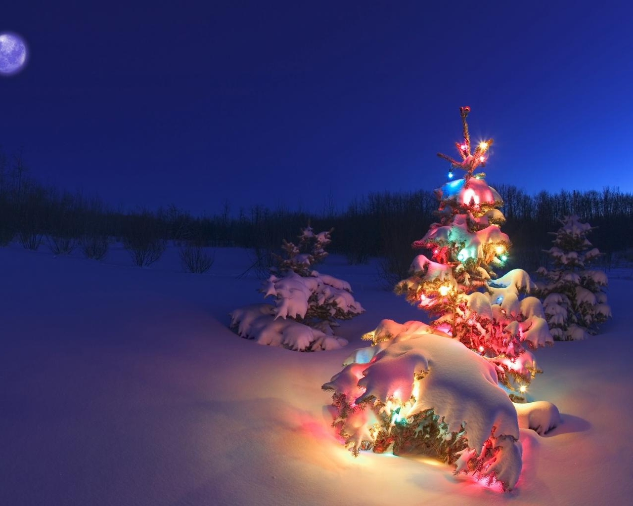 Kerstboom versierd met gekleurde kerstverlichting 1280x1024