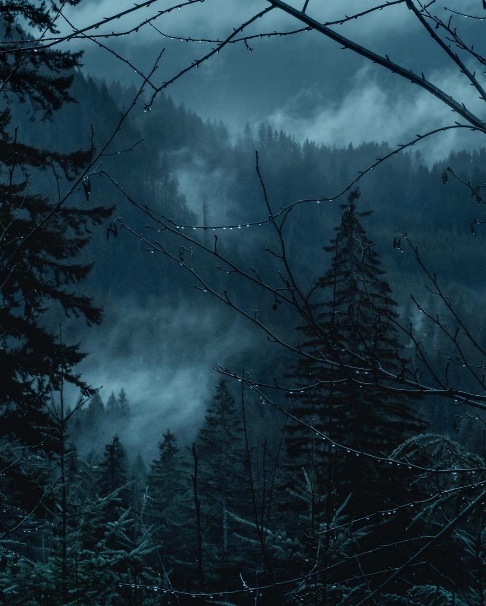 Breathtaking Moody And Mysterious Forest Photography By Dylan