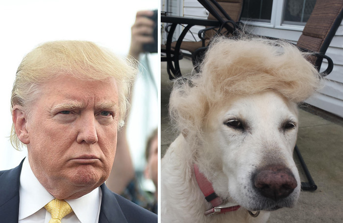 These Donald Trump Look Alikes Show Where This Billionaire Might Get