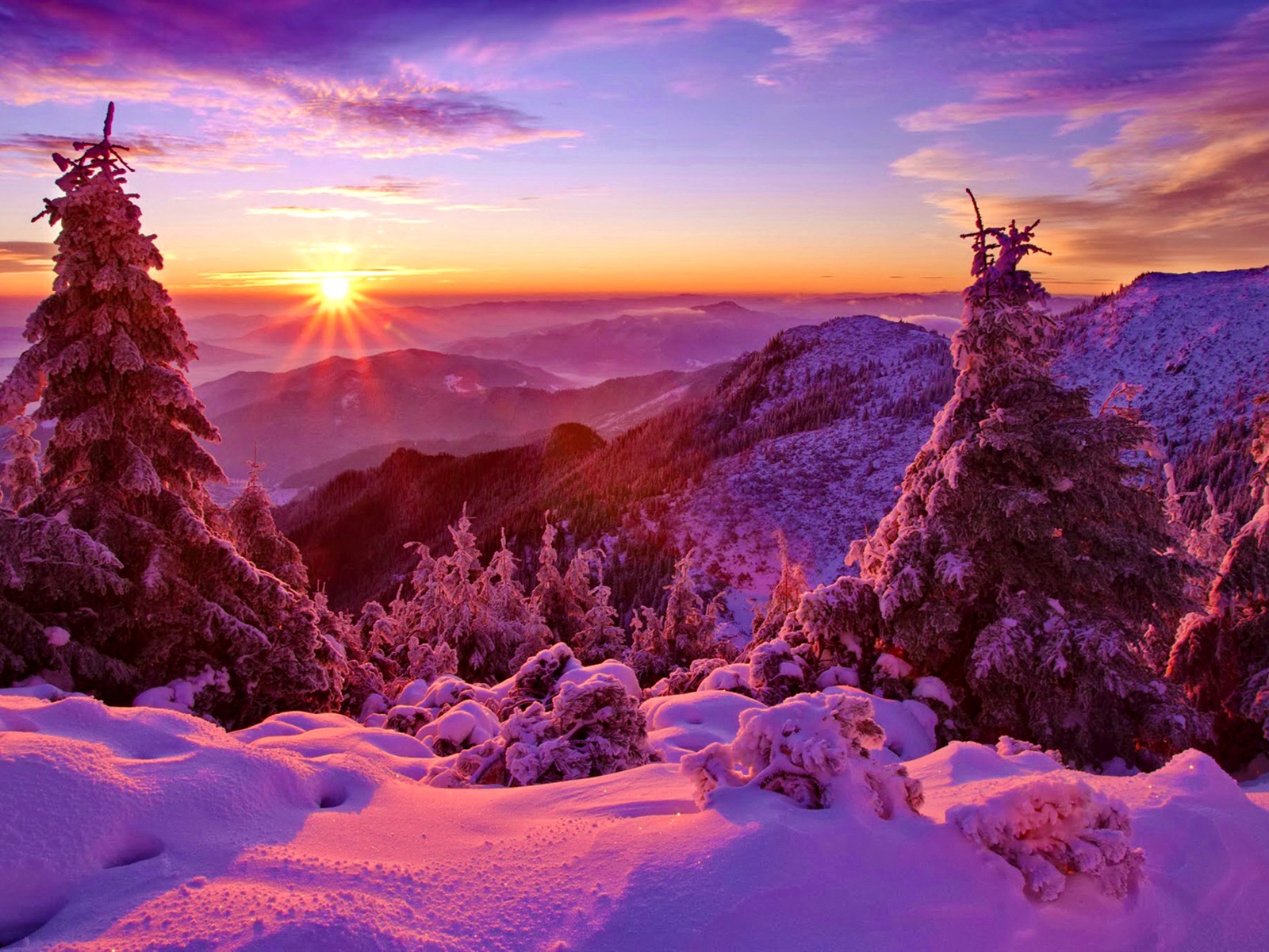 Winter Sky Sunset Mountains Forest Trees Spruce Snow