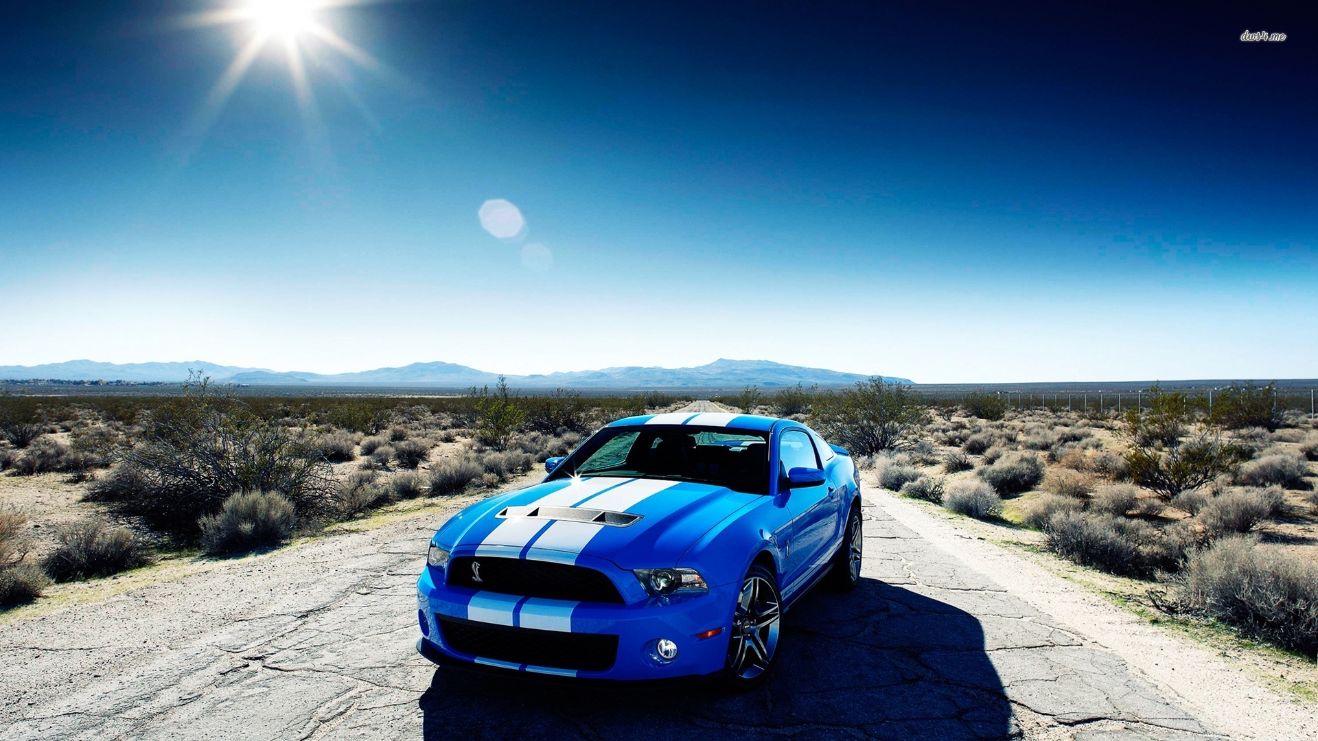 Gallery For Gt Mustang Shelby Gt500 Wallpaper
