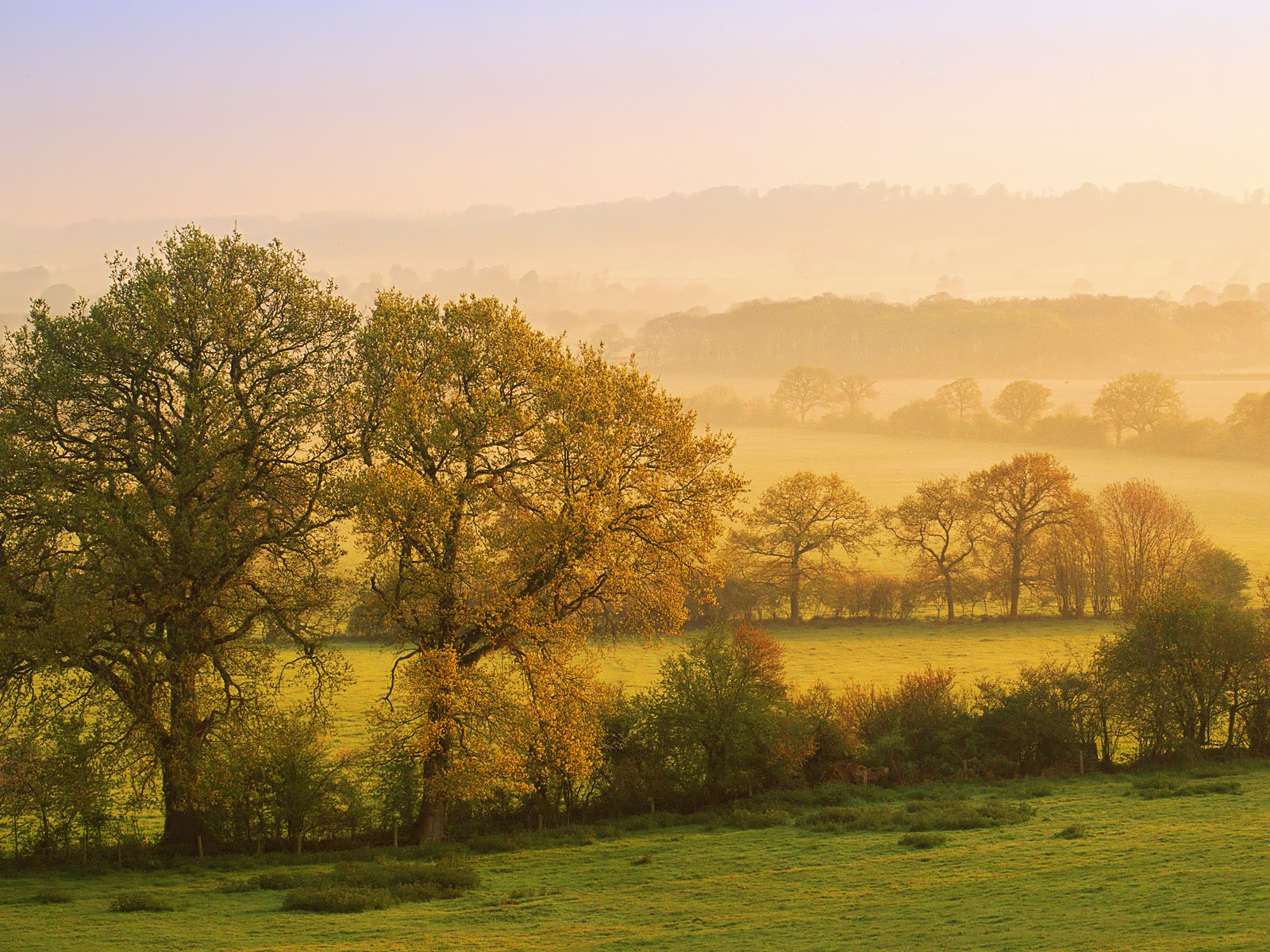 Zdqnvpnz6e4 S1600 Countryside Dorset England Wp Tangledwing Png