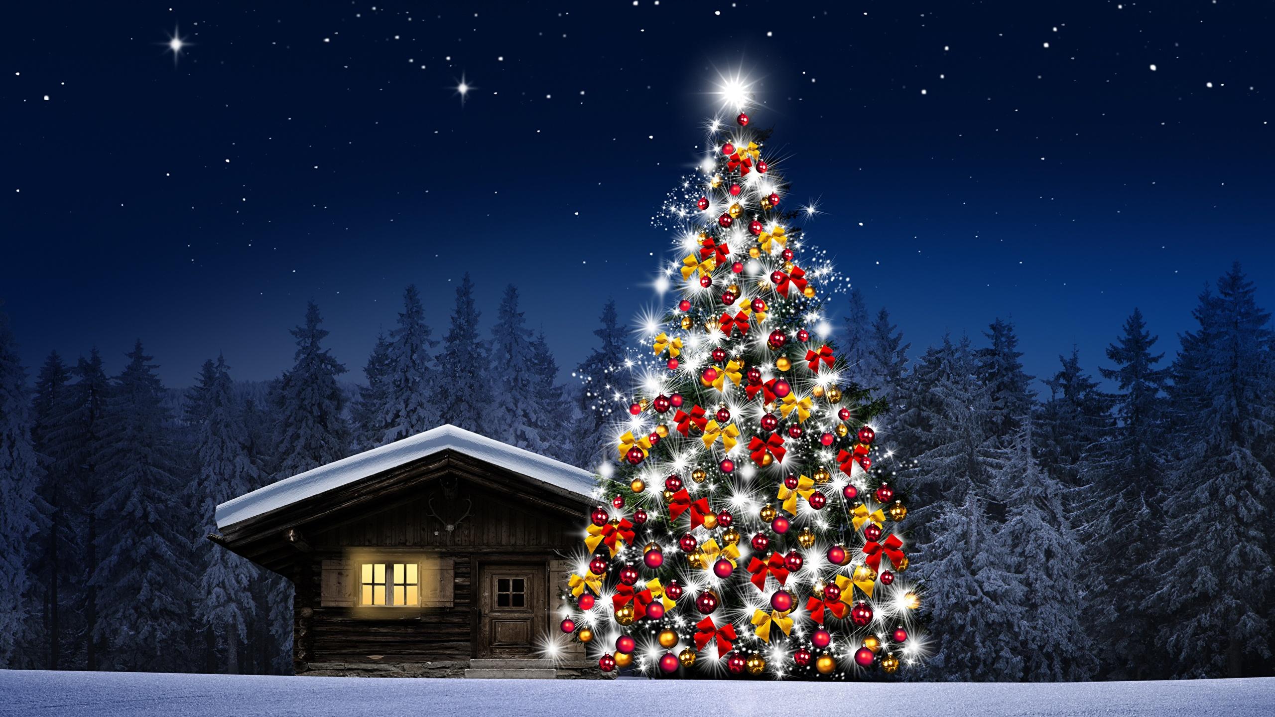 Image Nature Christmas Tree Snow Forests Night Time