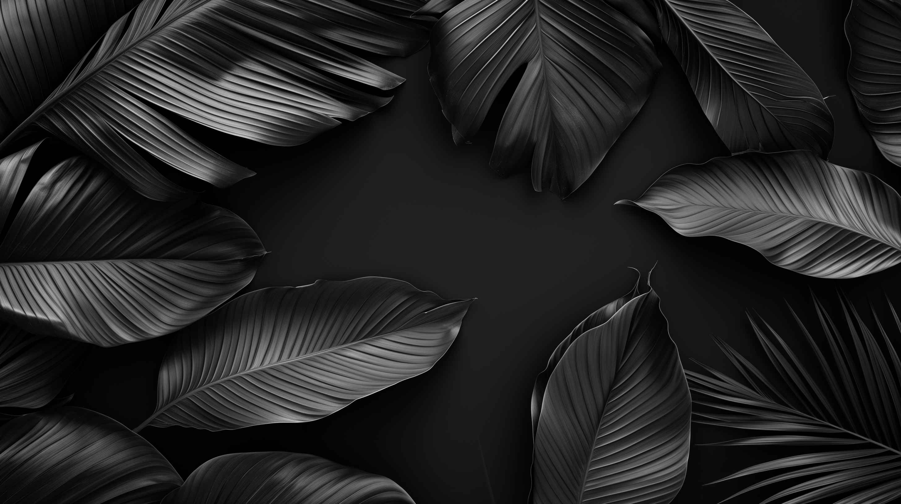 Dark Monochrome Leaves HD Wallpaper By Robokoboto