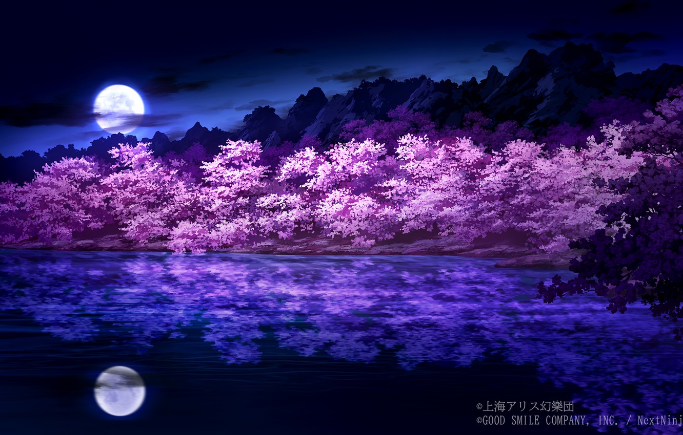 Wallpaper Night Lake Spring Sakura Flowering Touhou Project