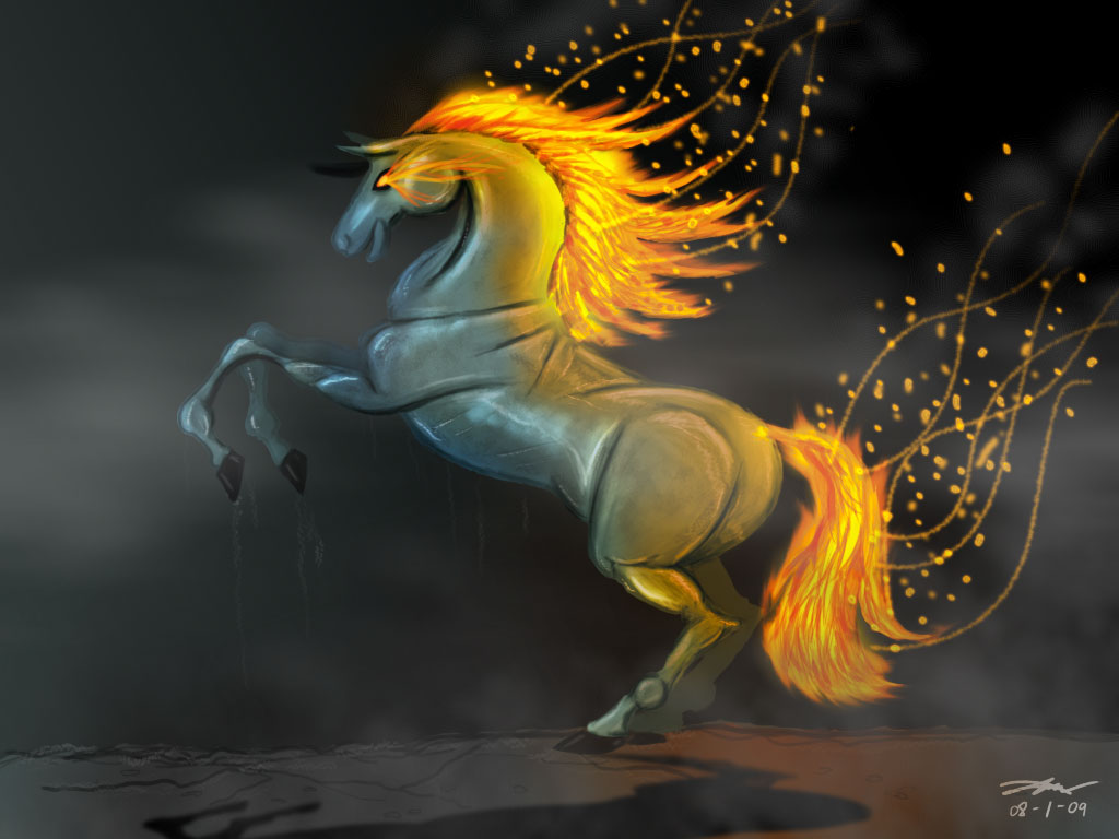 Of Fire Horse Here Are Some Wallpaper Enjoy