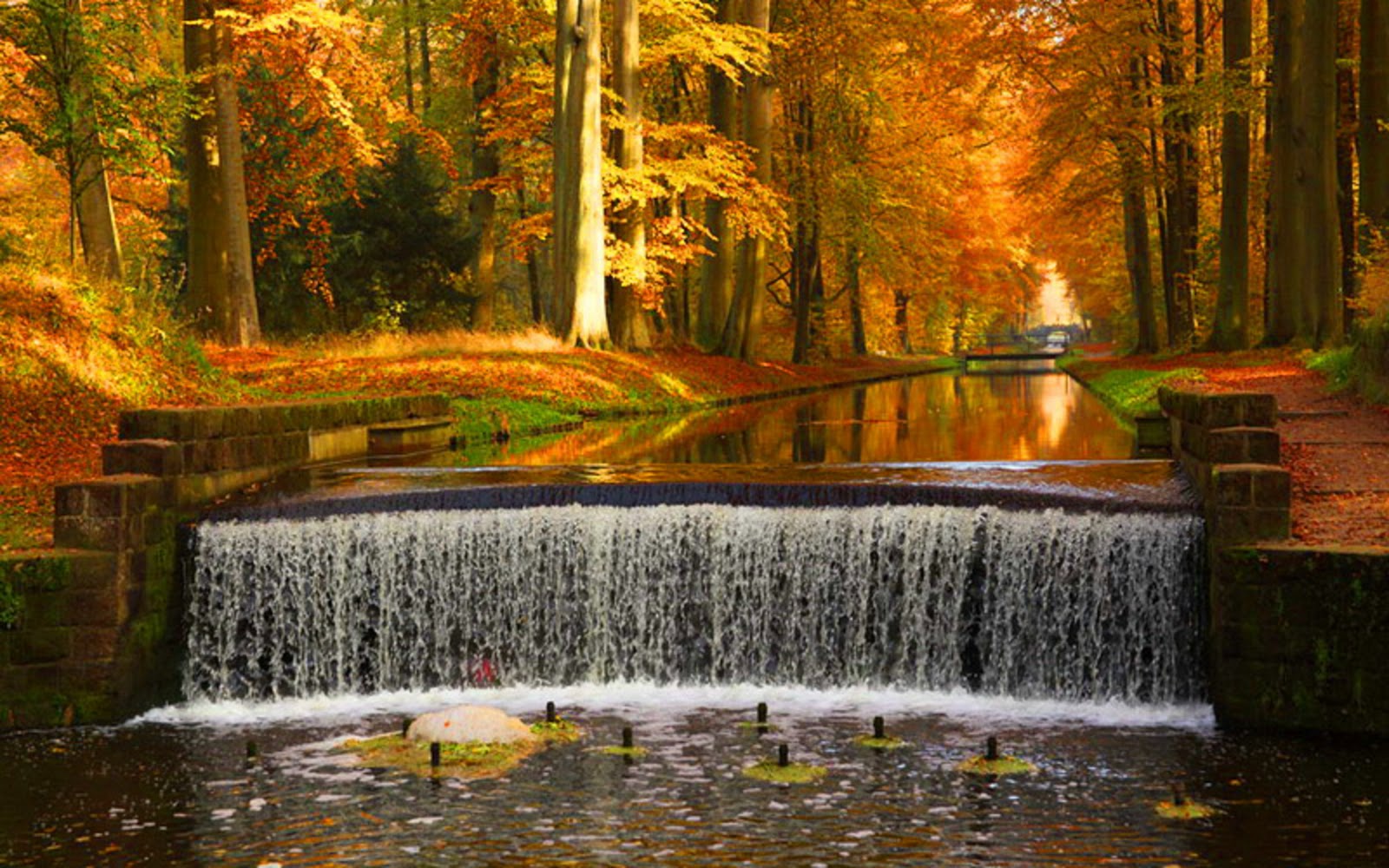 Autumn Waterfalls Desktop Wallpaper