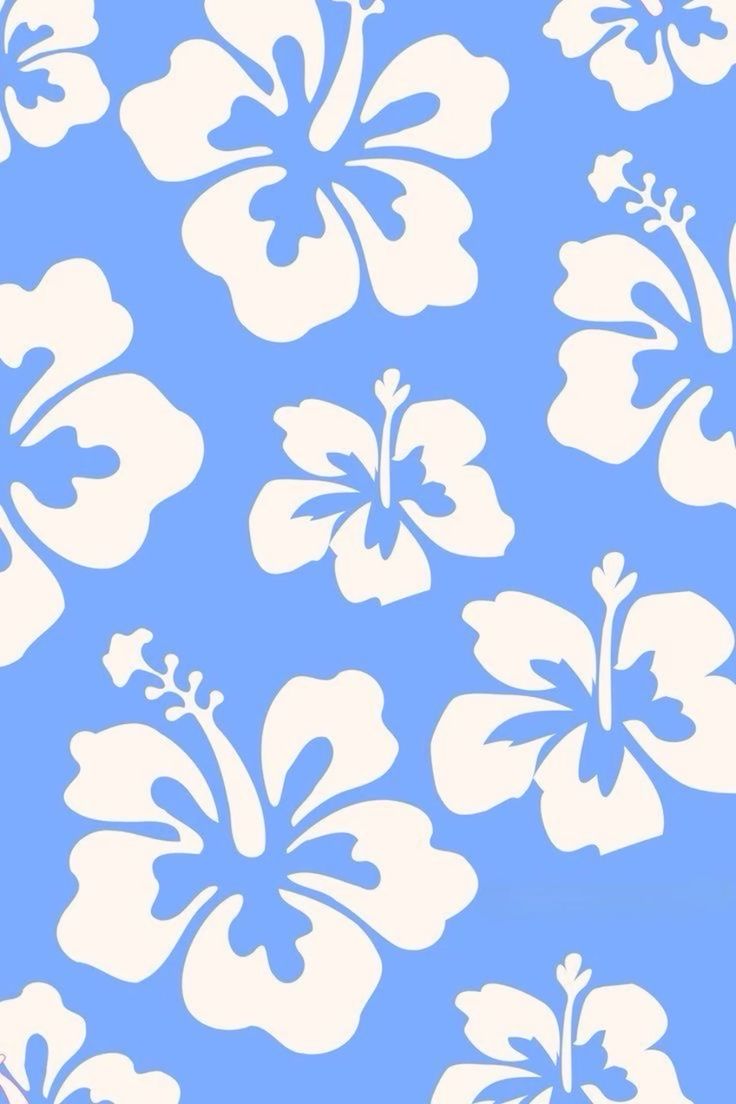 Hibiscus Flower Wallpaper