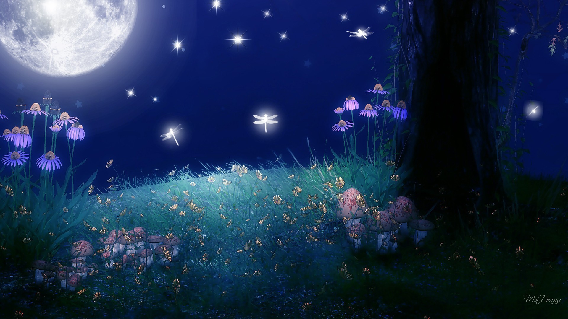  30 Night Moon Desktop Wallpapers WallpaperSafari