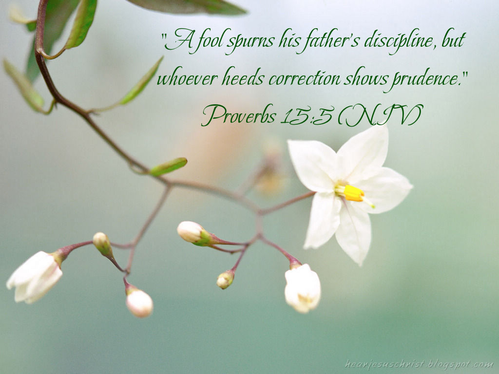 Proverbs Father S Discipline Wallpaper Christian
