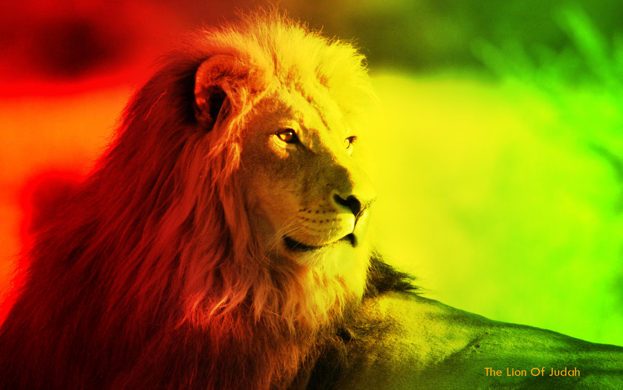 The Lion Of Judah By Psychoshroomz