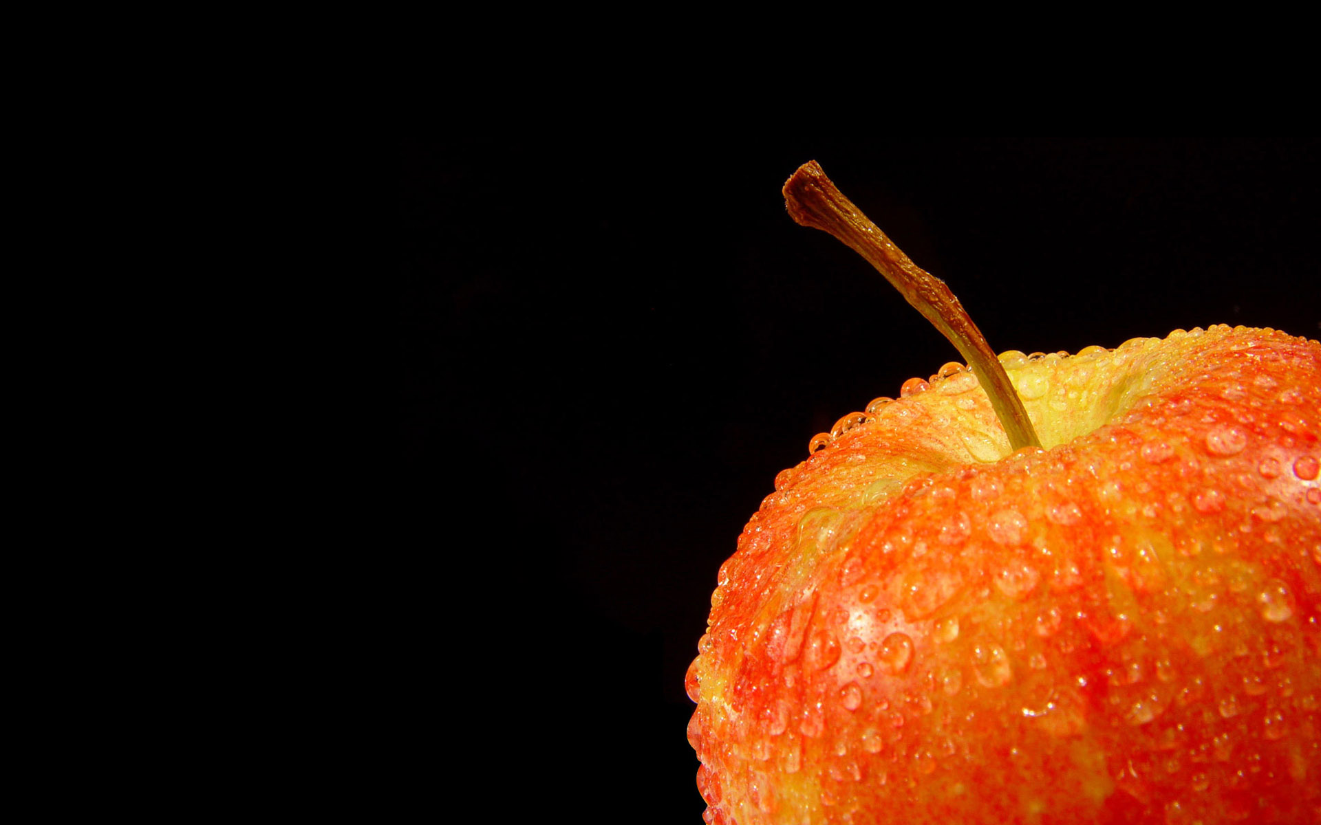 Orange Color Fresh Apple HD Wallpapers Free Download