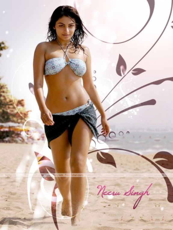 Tamil Actress HD Wallpaper Of Bollywood Hollywood