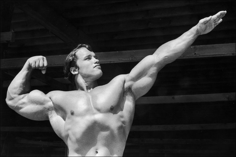 Arnold Schwarzenegger Bodybuilding Pics Hot HD Wallpaper