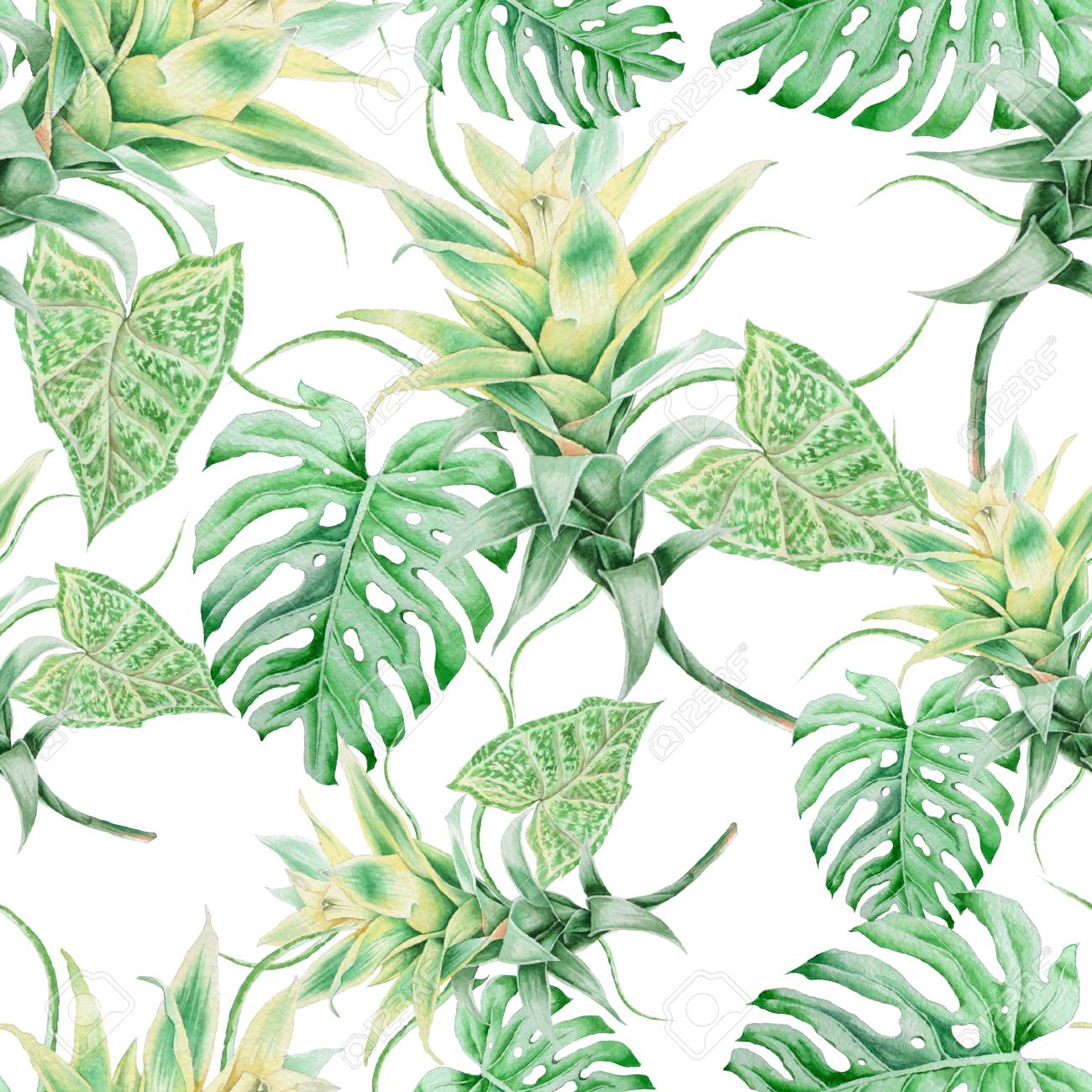 Bright Seamless Pattern With Leaves Bromeliad Monstera