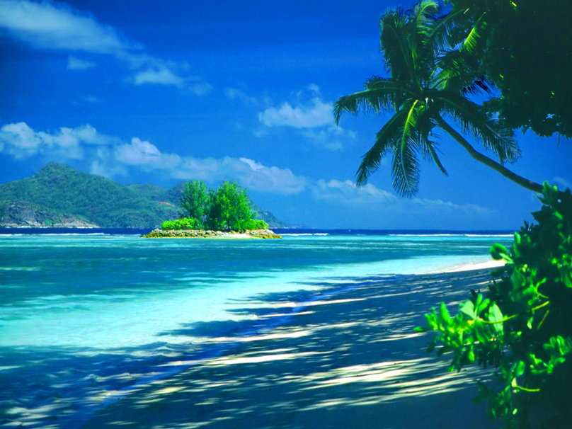 Lovely Tropical Island Wallpaper