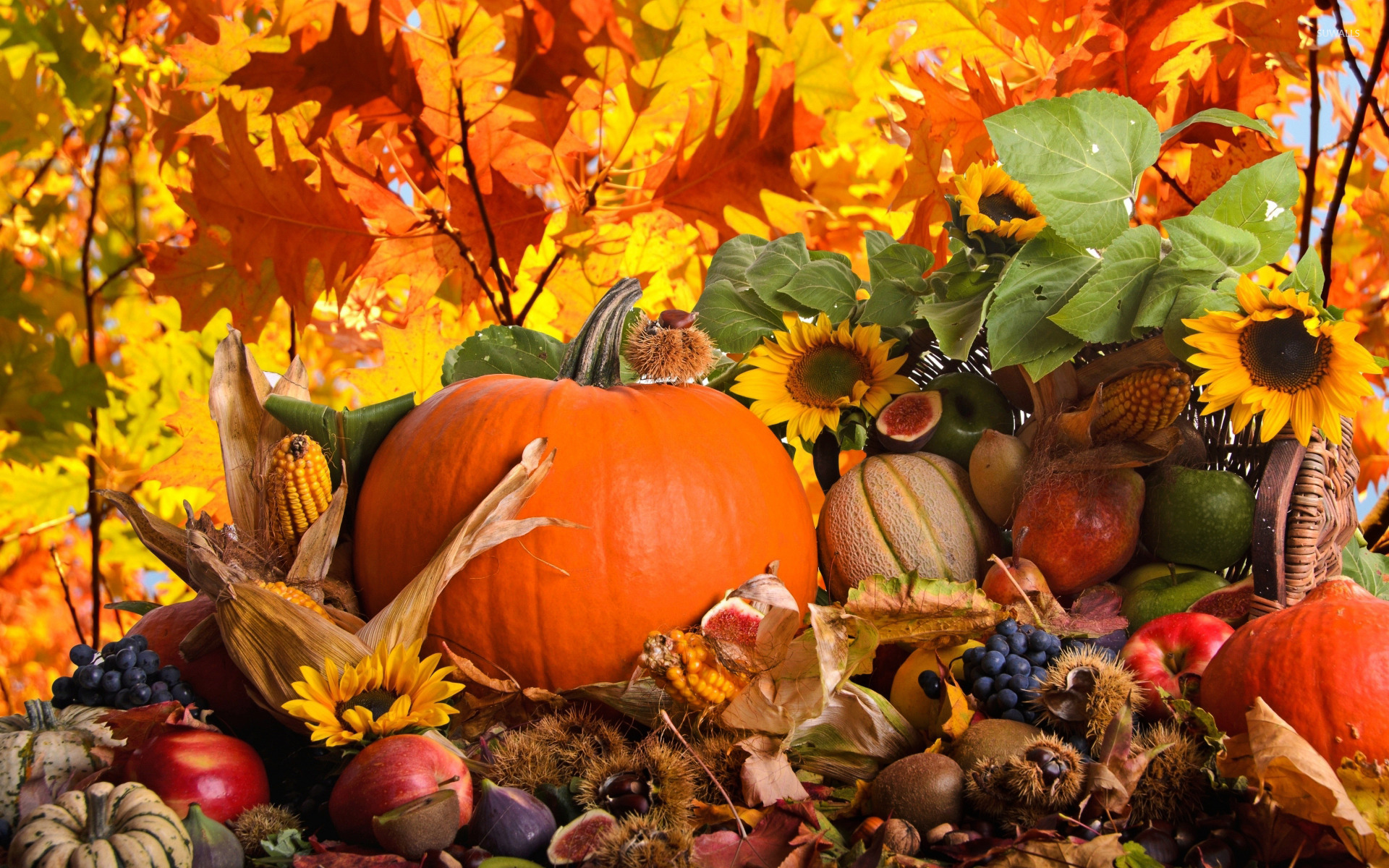 Autumn Harvest Wallpaper Holiday