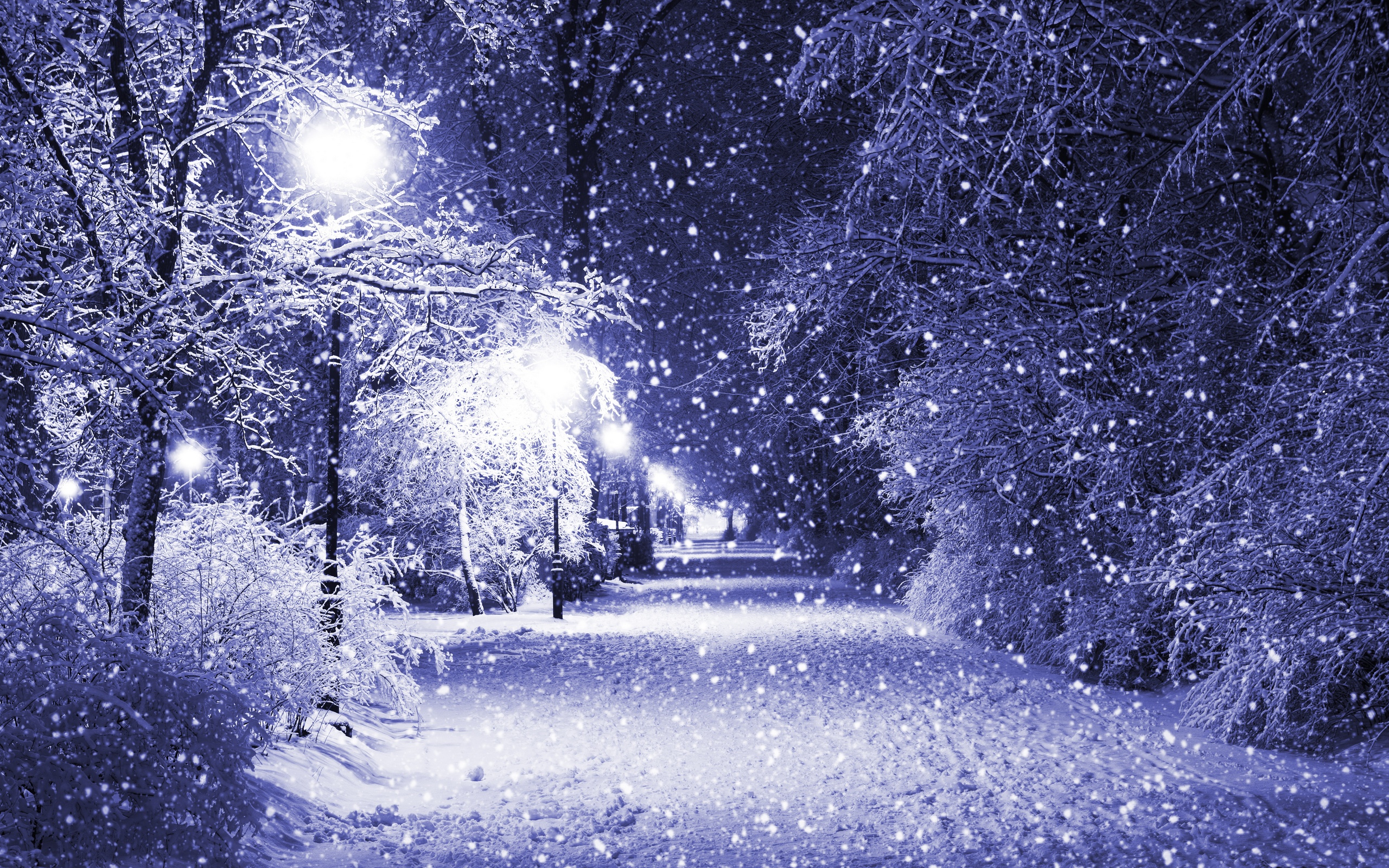 Beautiful Winter Backgrounds wallpaper 2560x1600 29437